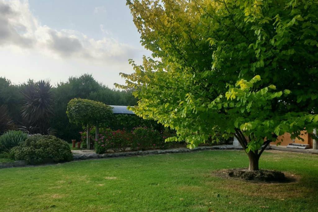 Bella Mia Tuscan Paradise Mount Gambier Exterior photo