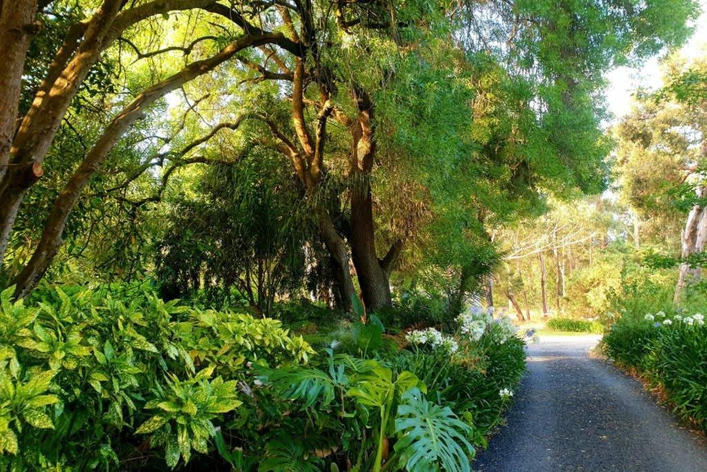 Bella Mia Tuscan Paradise Mount Gambier Exterior photo